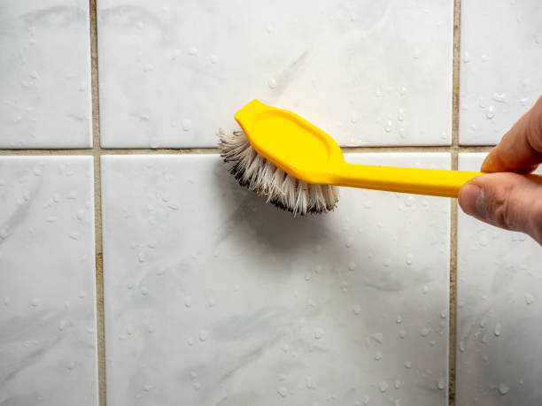 Trusted Lanse, MI Mold Removal Experts